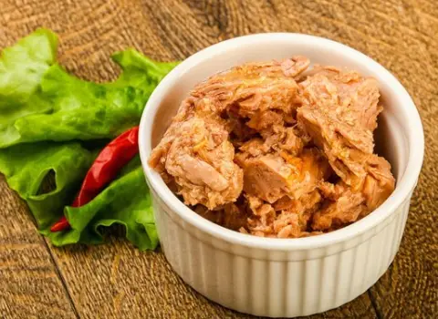 کنسرو تن ماهی دلنواز (Delanavaz canned tuna) + قیمت خرید