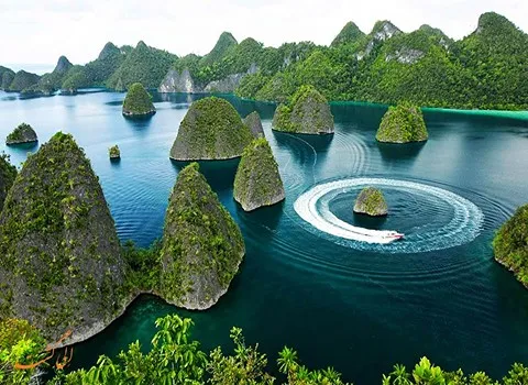 در کنار آراد برندینگ تجارت با اندونزی را تجربه کنید