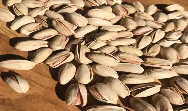 معرفی پسته اکبری رفسنجان + بهترین قیمت خرید