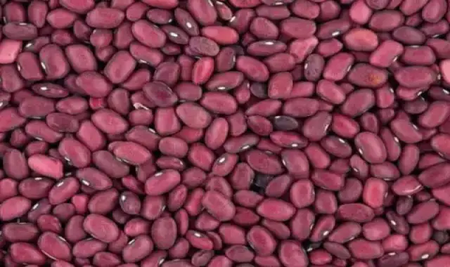 قیمت خرید لوبیا چیتی قرمز + خواص، معایب و مزایا