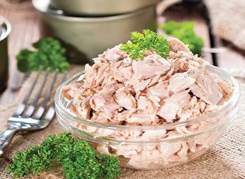 کنسرو فیله ماهی تاپسی | خرید با قیمت ارزان