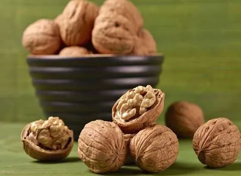 گردو کرمانشاه؛ مغز درشت طبع گرم تقویت حافظه walnut