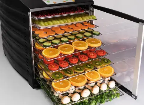 خرید دستگاه فریز درایر میوه با قیمت استثنایی