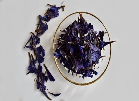 گل گاوزبان گلستان؛ آرامش اعصاب افسردگی استرس طبع (گرم مرطوب)