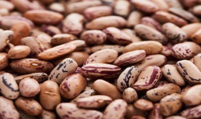 قیمت لوبیا چیتی پخته شده + پخش تولیدی عمده کارخانه