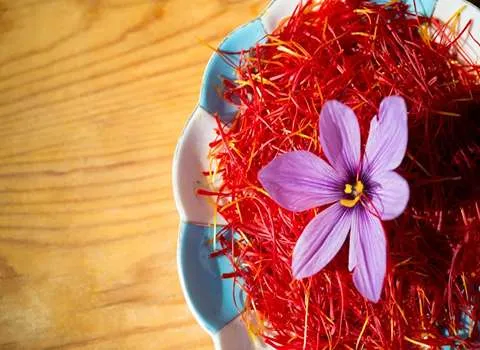 زعفران یک گرمی دردانه؛ حالت رشته ای قرمز رنگ خشک Saffron