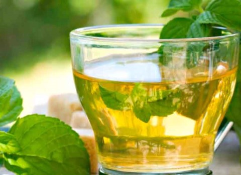 مناسب ترین قیمت عرق نعنا ارگانیک در دی ۱۴۰۱