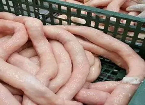 بهترین روده بزرگ گوسفندی + قیمت خرید عالی