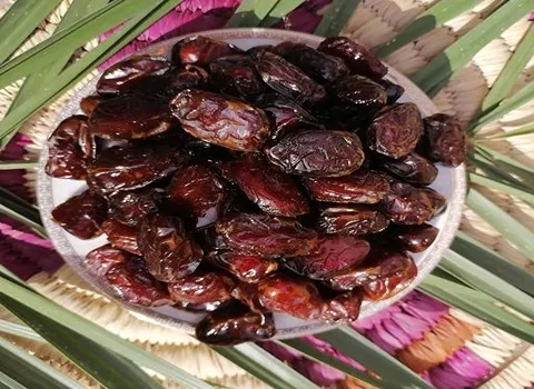 بهترین خرمای کبکاب اهرم + قیمت خرید عالی