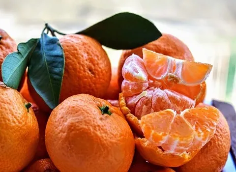 قیمت خرید نارنگی ژاپنی + فروش در تجارت و صادرات