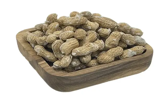 خرید پرفروش ترین انواع بادام زمینی با بهترین قیمت