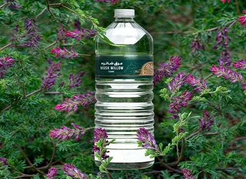 راهنمای خرید عرق شاتره اصل با شرایط ویژه و قیمت استثنایی