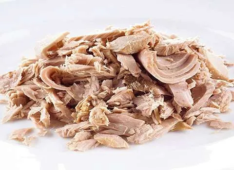 قیمت کنسرو ماهی ساردین + مشخصات بسته بندی عمده و ارزان