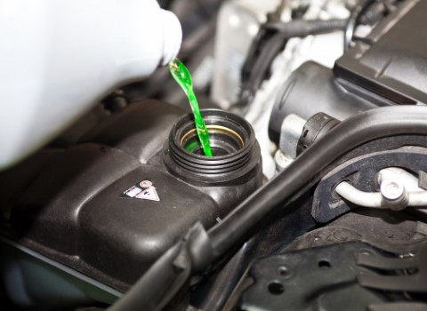 مرجع قیمت انواع ضد یخ روغنی + خرید ارزان