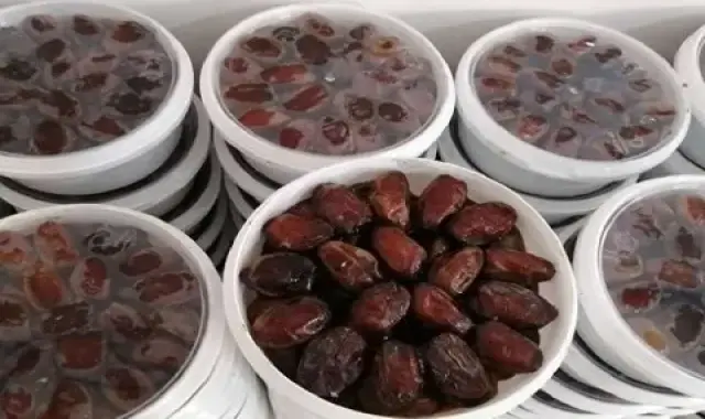 خرید انواع خرما پانیل با بهترین قیمت