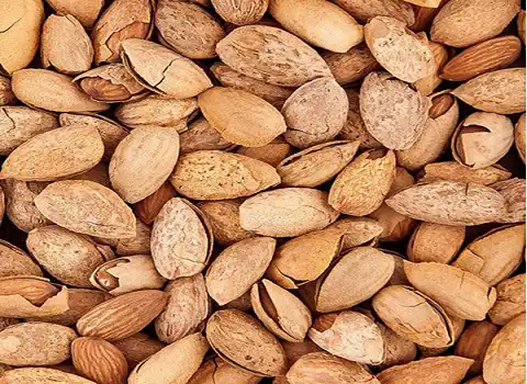 پوست سخت بادام + قیمت خرید، کاربرد، مصارف و خواص