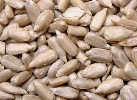 مغز تخمه آفتابگردان کیلویی + بهترین قیمت