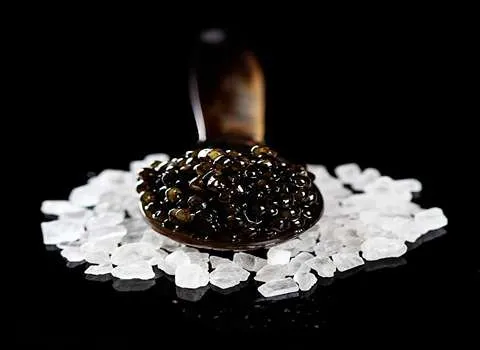 قیمت و خرید خاویار ماهی سفید با مشخصات کامل