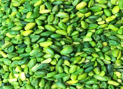 مغز پسته برای قنادی (آجیل) کله قوچی اکبری فندقی مناسب قنادی