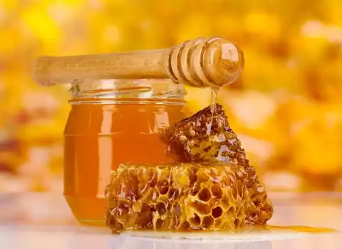 عسل وحشی کردستان؛ صخره ای نرم درمان سرطان عفونت Kurdistan