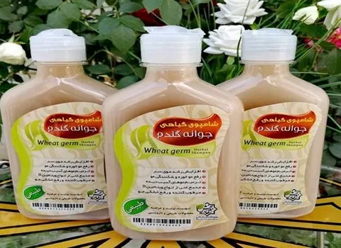 خرید عمده شامپو گیاهی جوانه گندم با بهترین شرایط