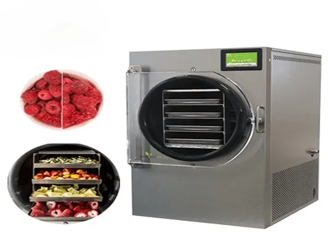 خرید دستگاه میوه خشک کن انجمادی با قیمت استثنایی