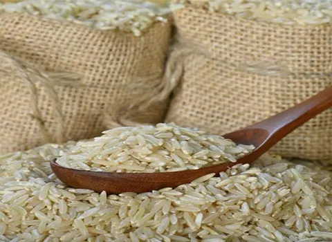 برنج دم سیاه شمال؛ معطر گیلان کرمی استاندارد rice