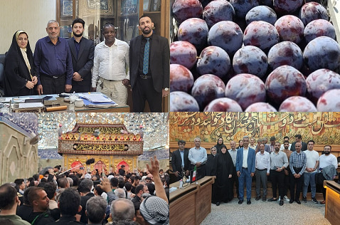 آرادنگاری عکسی ۲۹ مرداد