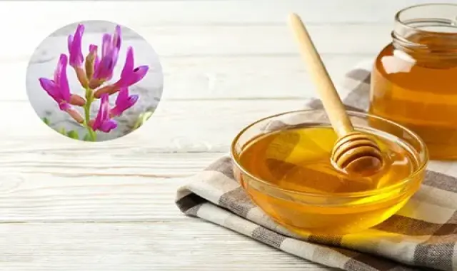 خرید عسل گون | فروش با قیمت مناسب