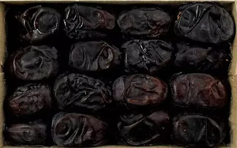خرید انواع خرما رایان ساغر با بهترین قیمت