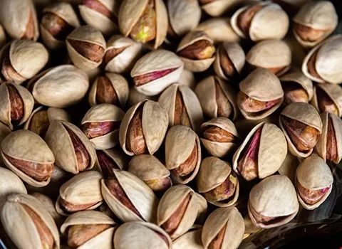 قیمت خرید پسته خام احمد آقایی + تست کیفیت