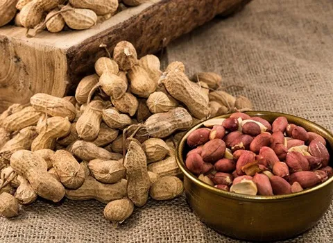 قیمت بادام زمینی کیلویی