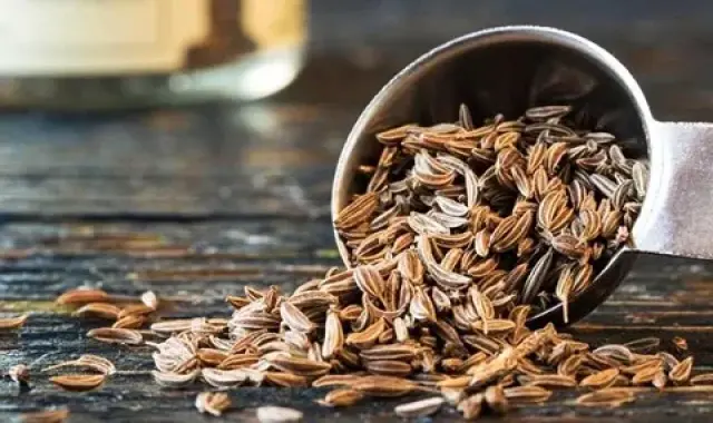 قیمت زیره کوهی کراویا + مشخصات بسته بندی عمده و ارزان