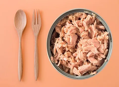 قیمت خرید کنسرو تن ماهی ساردین + تست کیفیت