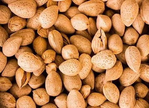 بادام پوست کاغذی عمده همراه با توضیحات کامل و آشنایی