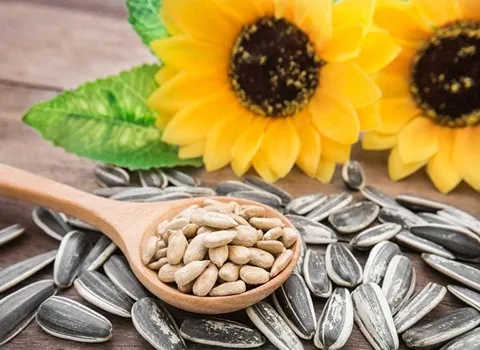 مغز تخمه آفتابگردان ؛ باریک کشیده حاوی امگا 6 تسکین آلرژی مشکلات التهابی