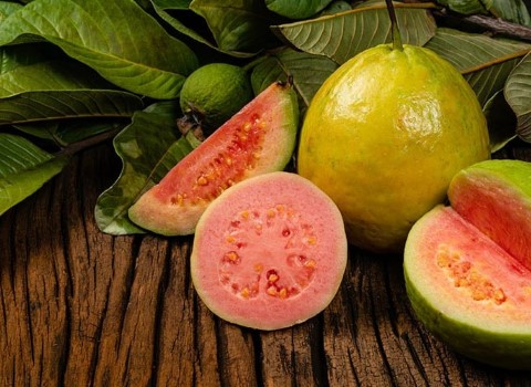 گواوا پالپی؛ استوایی دایره بیضی تلخ شیرین 13 سانتی متر