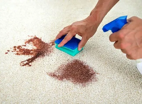 شامپو فرش؛ ضد قارچ فاقد فرمالین مناسب الیاف صنعتی سنتی shampoo