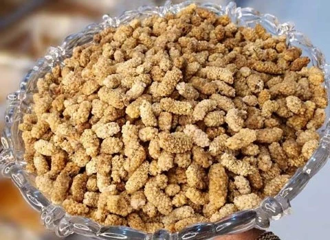 خواص توت خشک + قیمت خرید