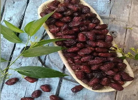 معرفی انواع خرما بریمی + قیمت خرید روز