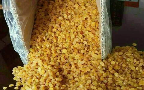 کشمش طلایی در بازار؛ کاهش بیماری قلبی دیابت سرشار از کربوهیدرات Vitamin C