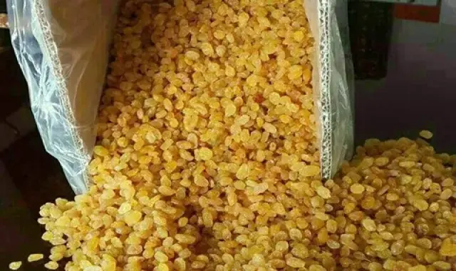 کشمش طلایی در بازار؛ کاهش بیماری قلبی دیابت سرشار از کربوهیدرات Vitamin C