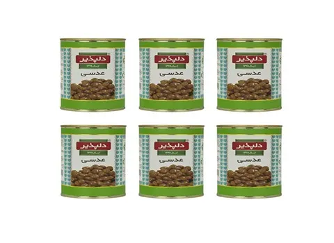 خرید و قیمت انواع کنسرو عدسی دلپذیر