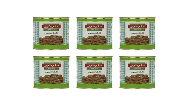 خرید و قیمت انواع کنسرو عدسی دلپذیر