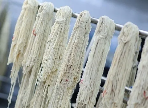 روده سفید گوسفند همراه با توضیحات کامل و آشنایی