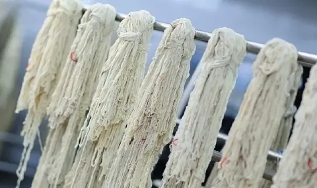 روده سفید گوسفند همراه با توضیحات کامل و آشنایی