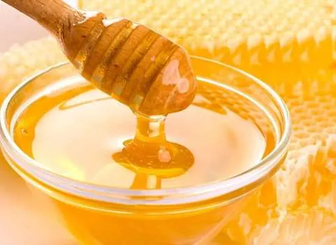 قیمت خرید عسل وحشی تنه درختی + عکس