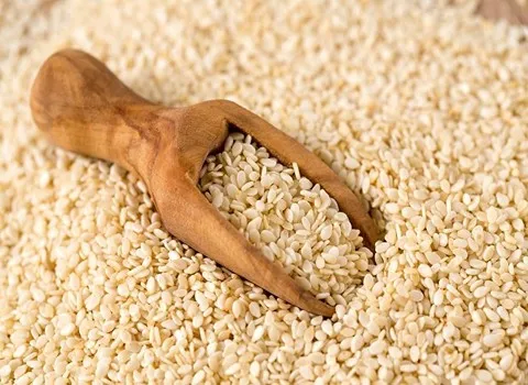 صادرات مشتقات کنجد و آشنایی با کشورهای هدف