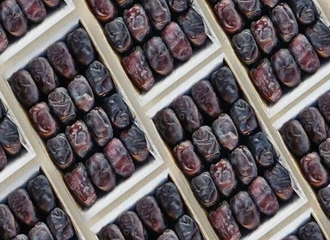 قیمت خرید خرما مضافتی کیمیا + طرز تهیه