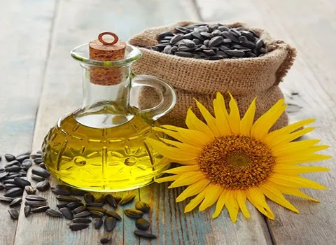 بهترین روغن آفتابگردان ارگانیک + قیمت خرید عالی